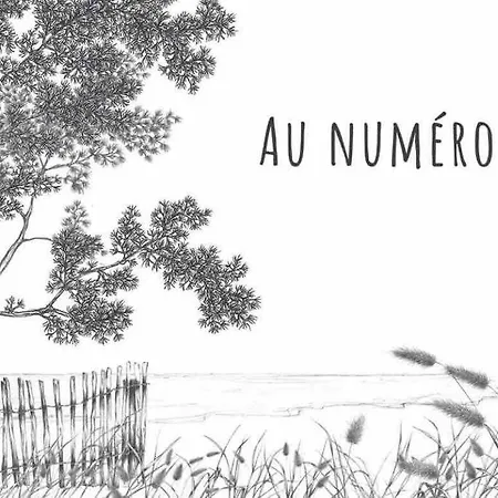 Au Numero 13 A 50m De La