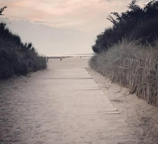 Au Numero 13 A 50m De La Lejlighed *